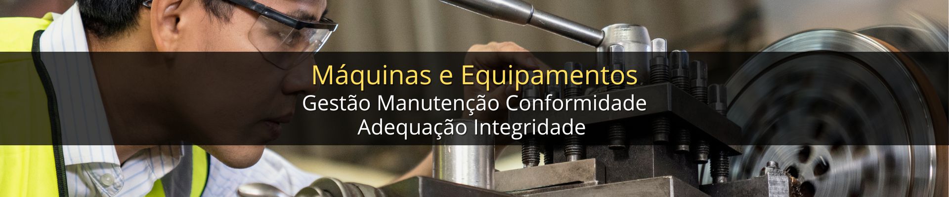 VIKON COMPLIANCE SEGURANÇA DO TRABALHO MAQUINAS IMPORTADAS EQUIPAMENTOS NR 12