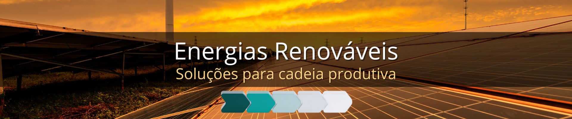 VIKON ENVIRON ENERGIAS RENOVAVEIS ESG COMPLIANCE HIDROGENIO VERDE