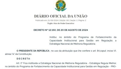 Estrategia Regula Melhor - Decreto 12.150 de 20 agosto 2024 - VIKON Compliance Robson Escobar